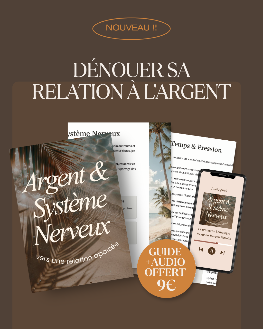 Argent & Système Nerveux : Le Guide + La Pratique Somatique !